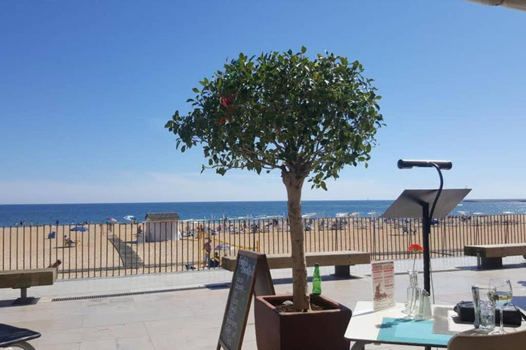 Old Town Albufeira 아파트 외부 사진
